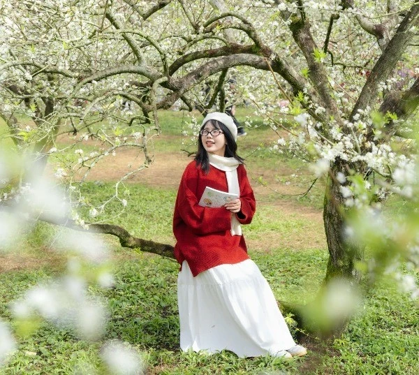 Mộc Châu lần 3 được World Travel Awards gọi tên, thu hút du khách quốc tế