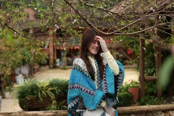 Lô Lô Chải đón mùa hoa đào nở sớm bất ngờ