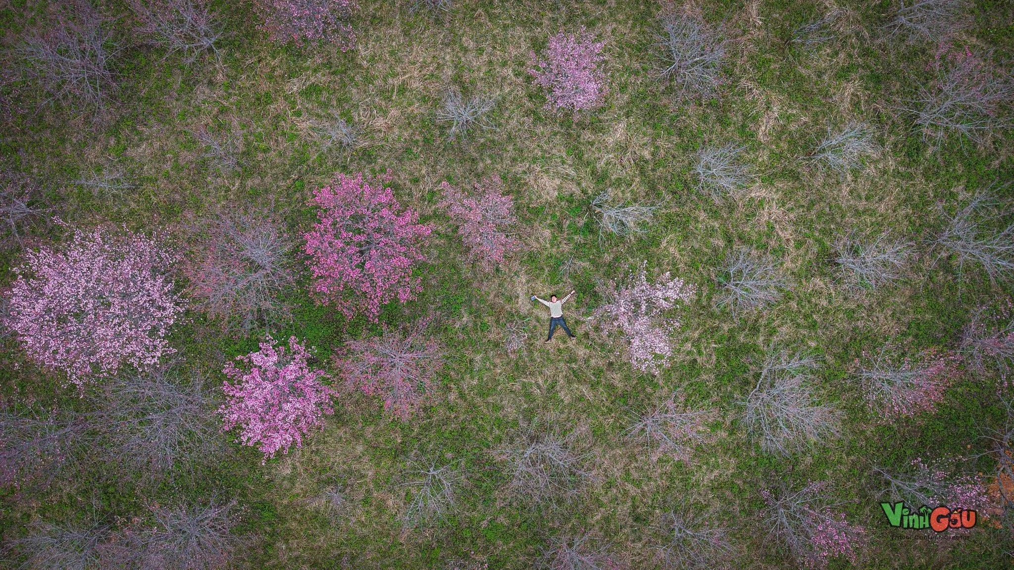 Tết Dương lịch check-in đảo hoa Pá Khoang rực hồng