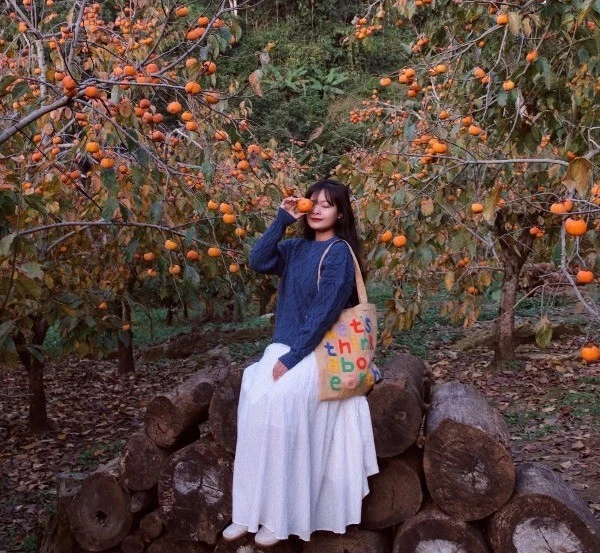 Gợi ý lịch trình vivu Mộc Châu dịp Tết Dương lịch cho tín đồ mê check-in