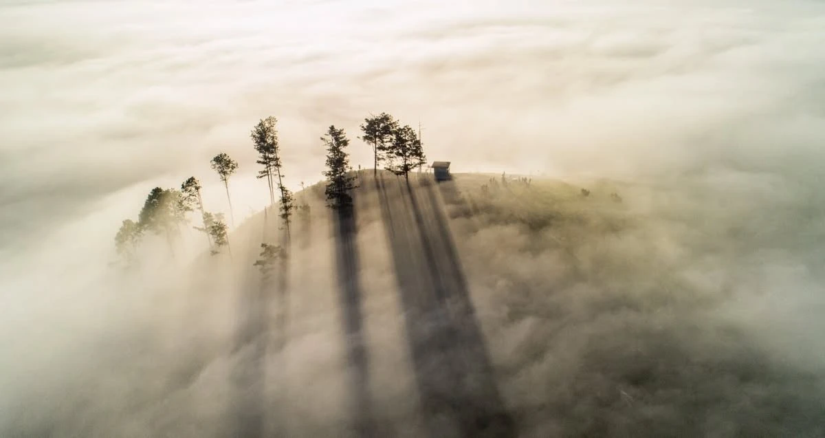 3 tọa độ 'săn' ánh sáng ở Đà Lạt khiến dân mê ảnh phát cuồng