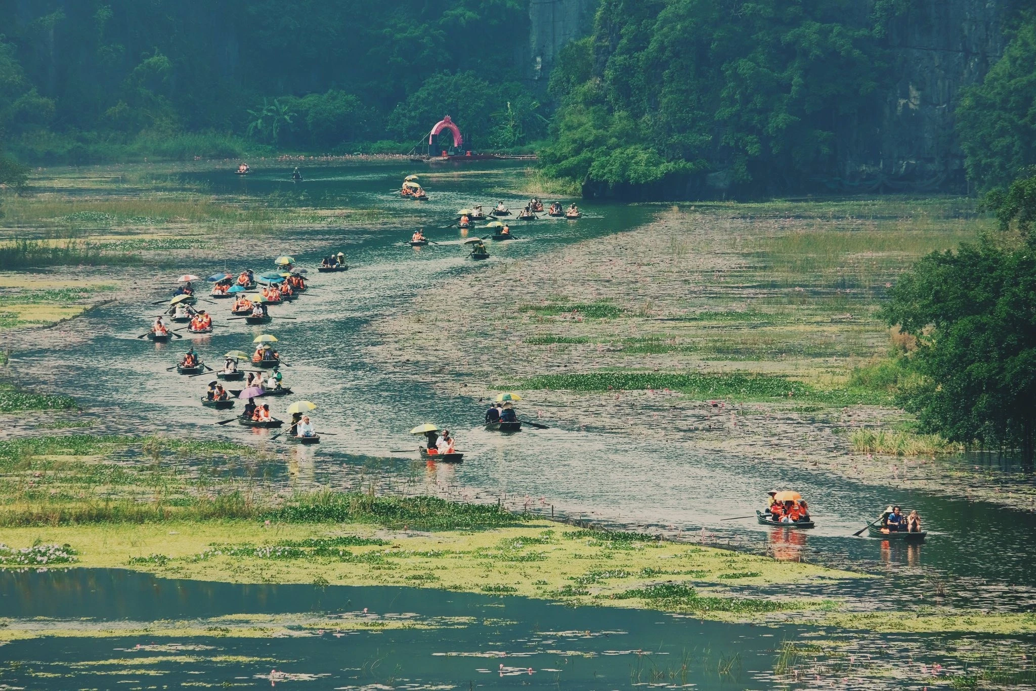 Ngồi thuyền ngắm mùa hoa súng Tam Cốc, du khách say quên lối về