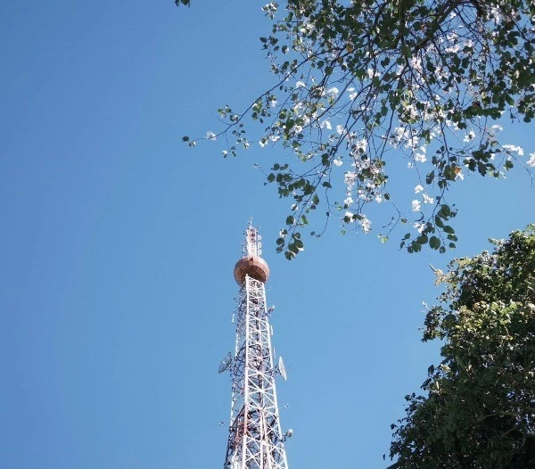 Đà Lạt mùa hoa ban trắng, gợi ý những cung đường nên ghé