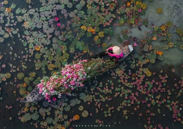 View - Check-in Tây Ninh mùa hoa súng nở, trải nghiệm miền sông nước đẹp như tranh | Báo Tri thức và Cuộc sống - TIN TỨC PHỔ BIẾN KIẾN THỨC 24H