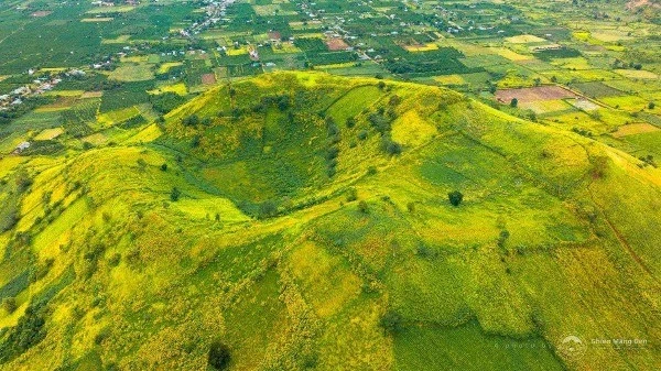 Ngắm dã quỳ nở rộ trên núi lửa Chư Đăng Ya, thiên đường mùa khô Gia Lai