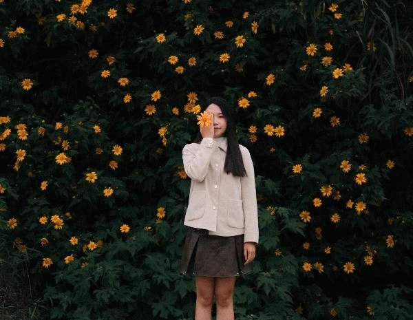 Chiêm ngưỡng mùa hoa dã quỳ Đà Lạt, nên đi tour hay tự túc?