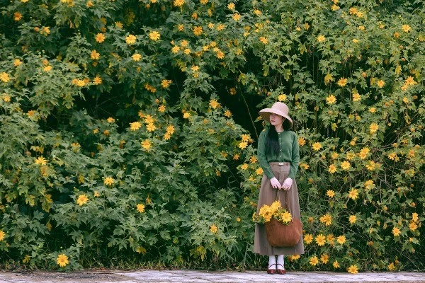 Hoa dã quỳ phủ vàng Đà Lạt, hút nàng thơ đến check-in