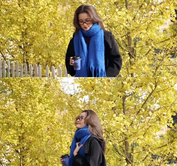 Hàng cây ngân hạnh vàng rực 'ngỡ như Hàn Quốc' giữa lòng Sa Pa