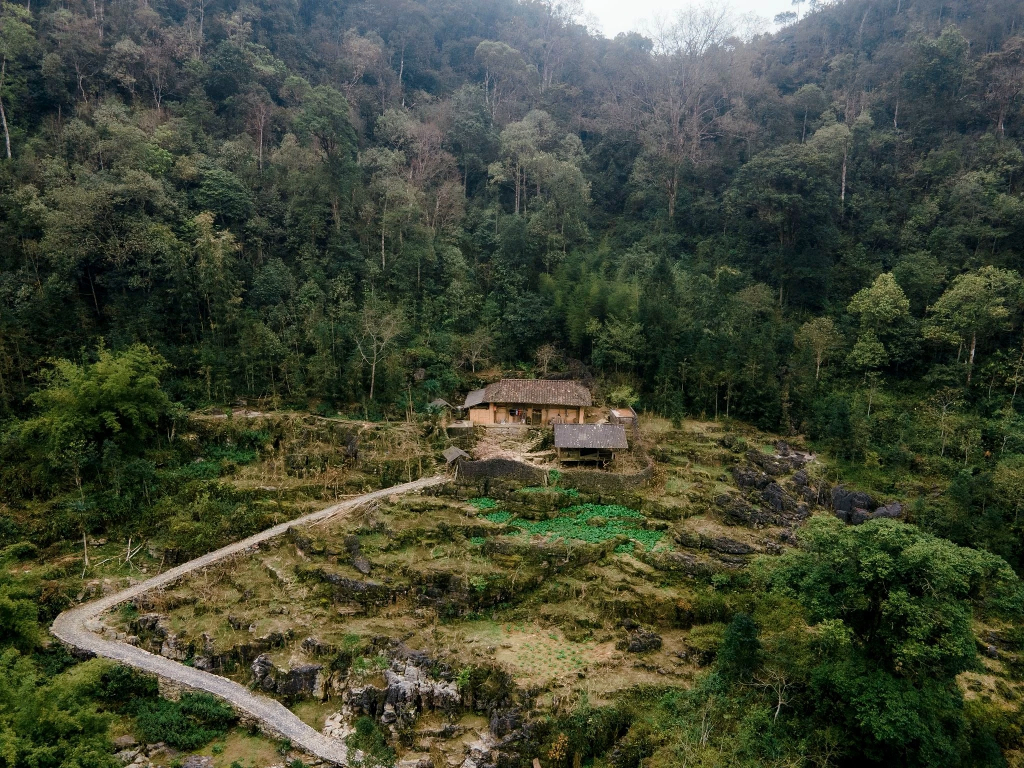 Ngôi làng H’Mông ẩn sâu trong sương mù cao nguyên đá Tuyên Quang