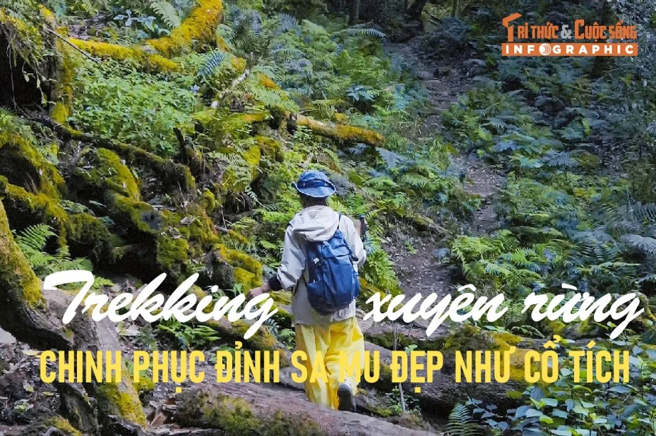 [INFOGRAPHIC] Trekking xuyên rừng chinh phục đỉnh Sa Mu đẹp như cổ tích