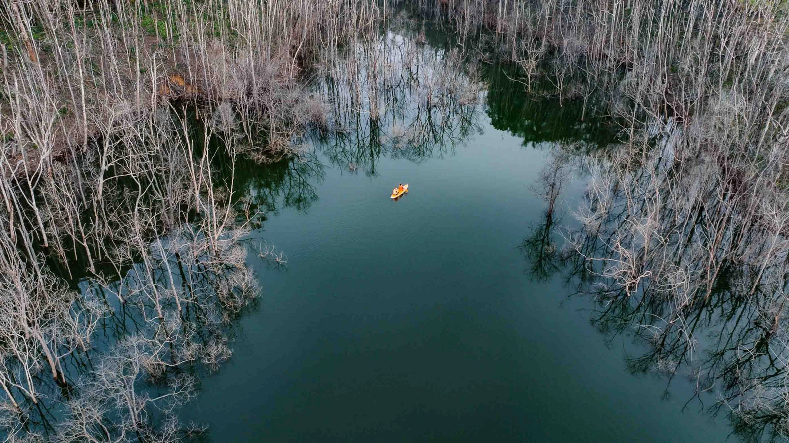 Chiêm ngưỡng ‘rừng chết’ kỳ bí trên hồ thủy điện ở Măng Đen