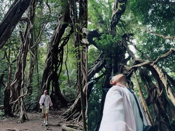 4 tọa độ sống ảo tuyệt đẹp ở Vườn Quốc gia Nam Cát Tiên khiến du khách say mê