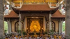Lý giải khoa học về các phương pháp "chữa lành"