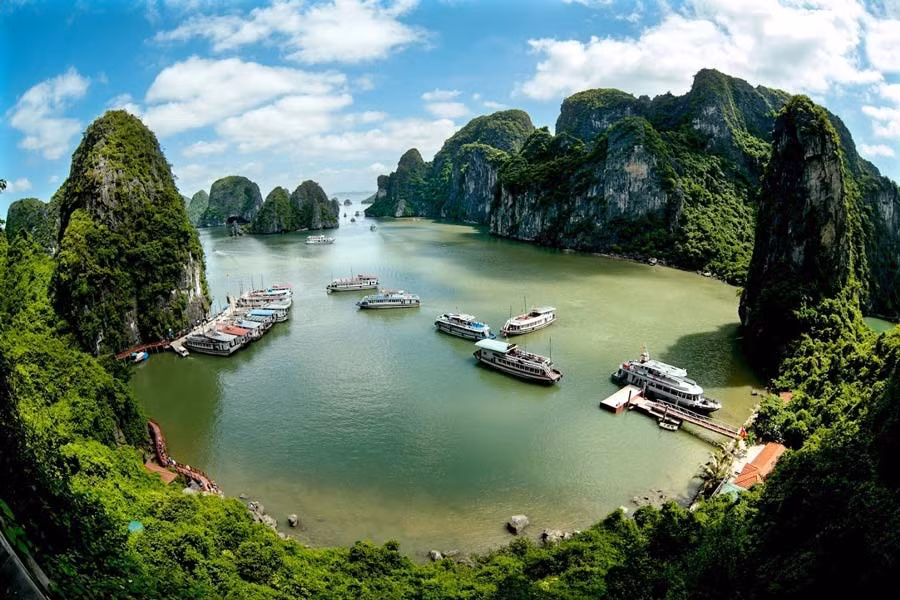 nguyenbahao-05-den-voi-ha-long-2015.jpg