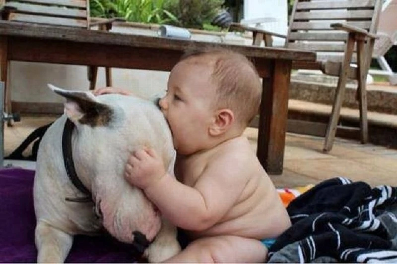 Những em bé siêu quậy