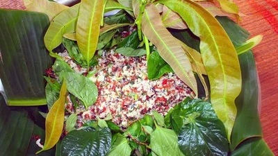 Về làng Rơ Măm Kon Tum ăn cá gỏi kiến vàng “lộc rừng”