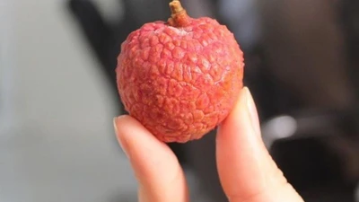 Mẹo chọn vải thiều tươi, ngọt lịm, ăn một lần là mê