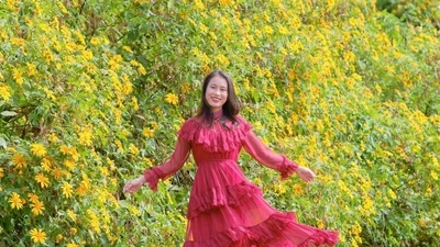 Săn mùa dã quỳ Chư Đăng Ya hành trình ngắm sắc vàng giữa cao nguyên Gia Lai