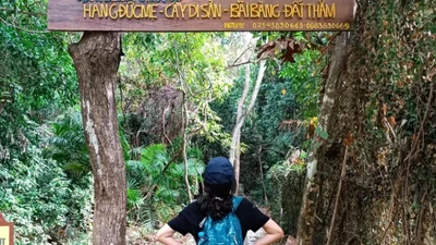 Chinh phục rừng già Côn Đảo, đắm mình trong vẻ đẹp thuần khiết của Đất Thắm