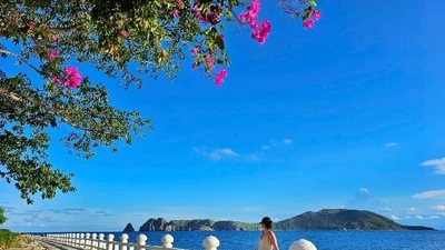 Đảo Bích Đầm "nàng tiên xanh" giữa vịnh Nha Trang