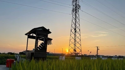 Độc đáo quán cà phê giữa đồng lúa xanh ở Thái Bình