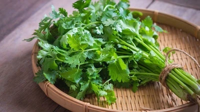 Rau mùi hỗ trợ thải độc, giảm gánh nặng cho gan