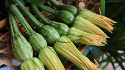 Người tiểu đường ăn hoa bí ngô thế nào cho an toàn?