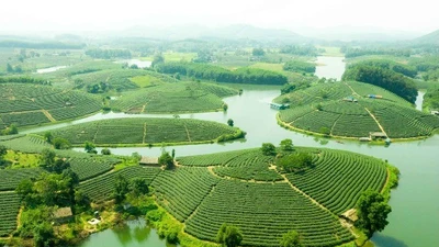 Miền Tây xứ Nghệ có một “ốc đảo xanh” khiến du khách ngẩn ngơ