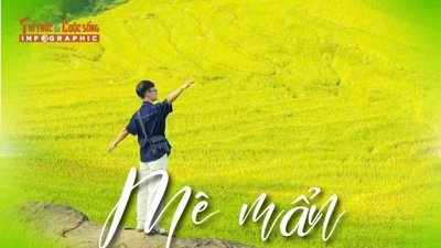 Mê mẩn vẻ đẹp mùa vàng ở Pù Luông 