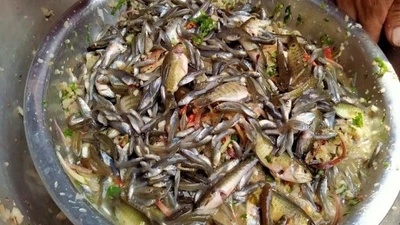 Gỏi cá nhảy Sơn La đặc sản “thót tim” khiến du khách vừa sợ vừa mê