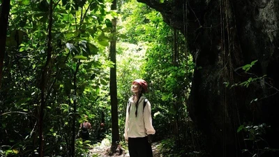 Trốn nắng hè, du khách chọn trekking Hang E ở Quảng Bình