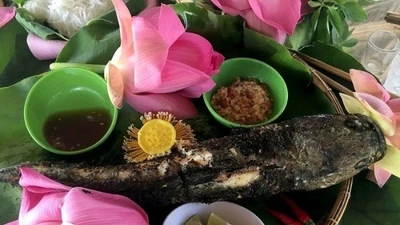 Thơm lừng cá lóc nướng trui cuốn lá sen non Đồng Tháp