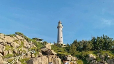 Bỏ túi kinh nghiệm du lịch Quy Nhơn tự túc