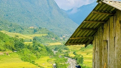 Sa Pa mùa lúa chín những góc sống ảo “chất lừ” cho tín đồ mê ảnh