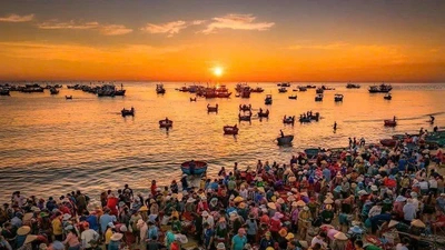 Bình minh nhộn nhịp ở chợ cá ven biển Tam Tiến, Quảng Nam