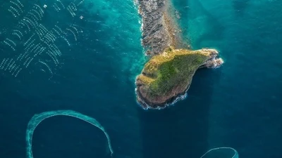 Đẹp nao lòng mùa lưới vây cá cơm ở Hòn Yến, đi ngay kẻo lỡ