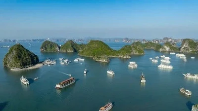 Du khách Đài Loan tử vong khi ăn trên tàu du lịch Hạ Long