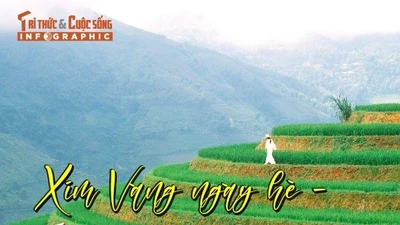 Xím vàng ngày hè - Sắc xanh giữa đại ngàn
