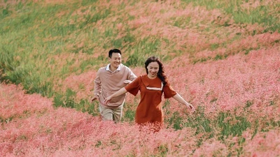 Đa dạng tour Đà Lạt, chọn gói nào "xuống tiền"?