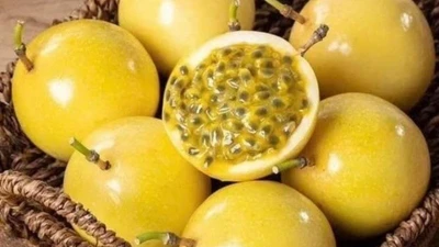 Loại quả vàng óng giúp đẹp da, ngủ ngon, khỏe ruột