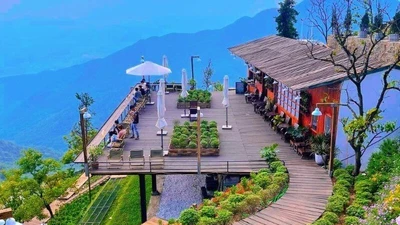 Tránh nóng giới trẻ rủ nhau lên Tam Đảo nghỉ dưỡng cuối tuần