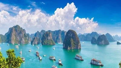 Lưu ý an toàn quan trọng khi tham gia tour tàu du lịch
