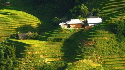Bản Ý Linh Hồ vào mùa lúa ngả vàng, đẹp mê hoặc lôi cuốn du khách