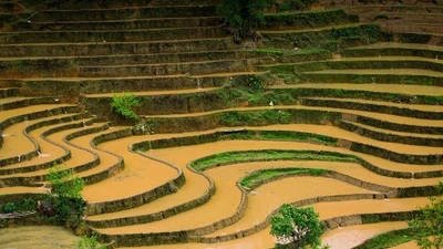 Ngắm ruộng bậc thang Mù Cang Chải mùa nước đổ đẹp ngất ngây