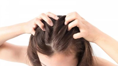 5 loại lá trong vườn nhà giúp giảm rụng, nuôi dưỡng tóc tự nhiên