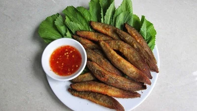 4 loại cá bình dân cực bổ, đi chợ gặp nên mua ngay