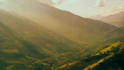 Săn mùa vàng Mù Cang Chải, chọn tour nào đáng tiền?