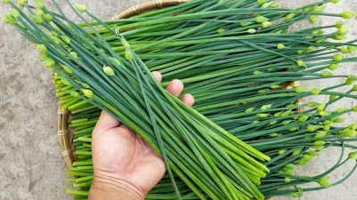 Loại rau dân dã mùa thu giúp thải độc gan, tăng sức đề kháng, dưỡng nhan
