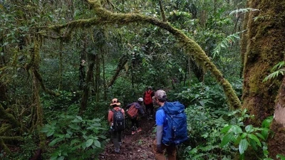 Trekking an toàn cẩm nang không thể thiếu cho người mê khám phá núi rừng