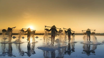 Về Sa Huỳnh hòa mình trải nghiệm nông dân trên cánh đồng muối